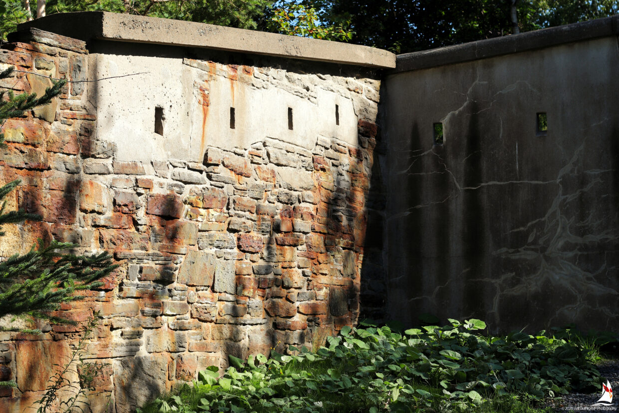 Stone Wall in the Sun